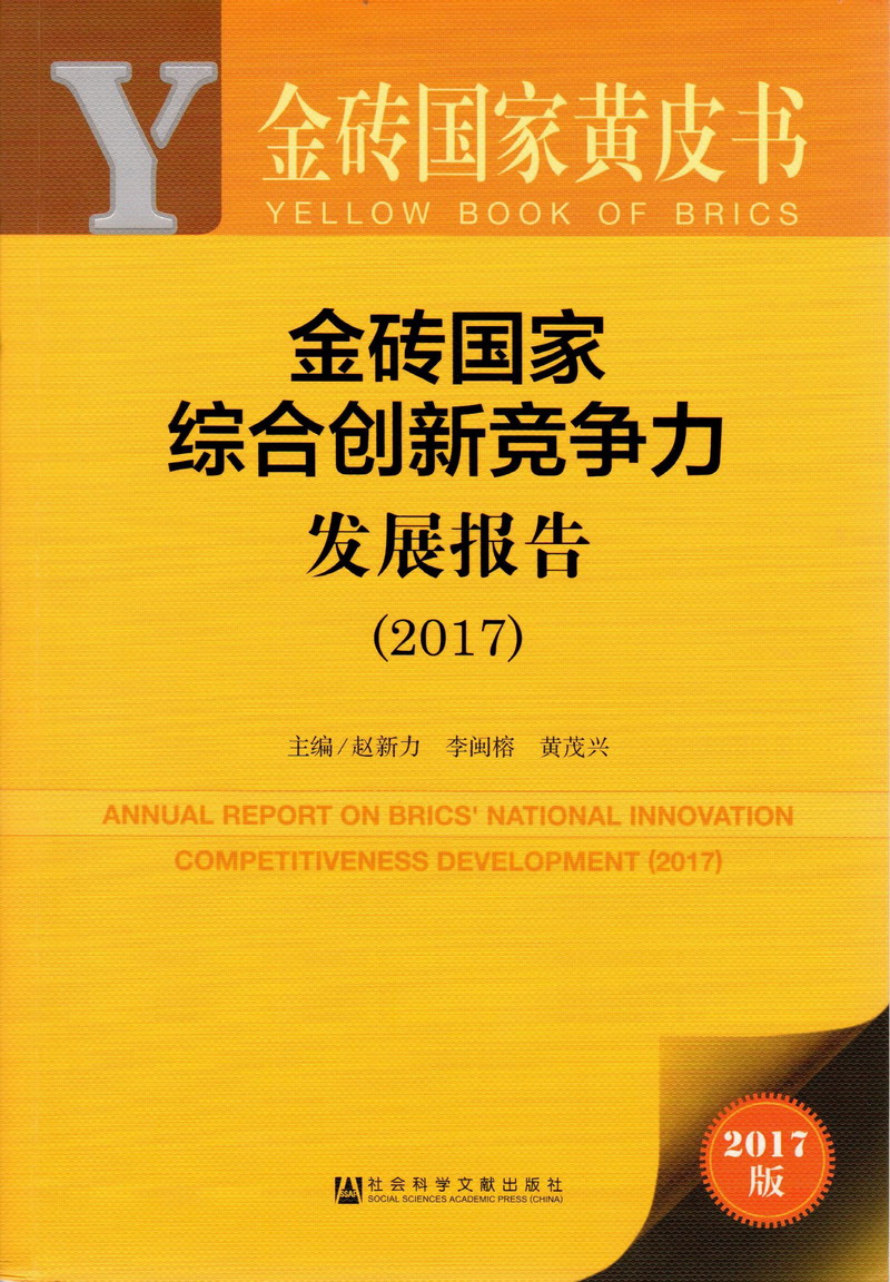 黑鸡巴肏骚逼破处嫩逼视频金砖国家综合创新竞争力发展报告（2017）